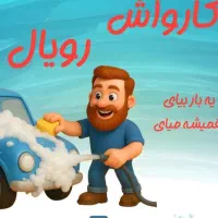 استخدام کارواش