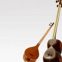 آموزش تار و سه تار بانوان