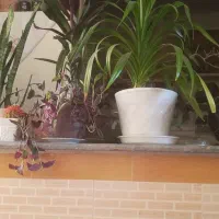 نظافت منزل ومحل کار