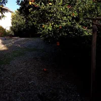 خونه باغ ویلایی 570متری|فروش خانه و ویلا|ارطه, |دیوار