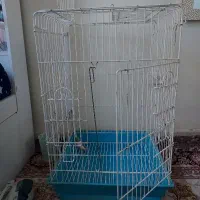 قفس بزرگ طوطی انواع پرنده
