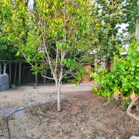 فروش باغچه1500 متری|فروش خانه و ویلا|شیراز, آبیاری|دیوار