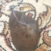 فروش سنگ و زرات طلا وخاک طلا|جواهرات|دلبران, |دیوار