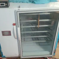 دستگاه جوجه کشی اتوماتیک ۱۰۰۸ تایی کاکل پری|حیوانات مزرعه|باشتین, |دیوار