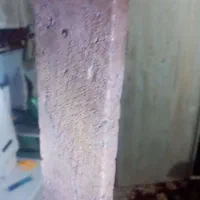 آنجل مولد|ماهی|تربت‌حیدریه, باغ سلطانی|دیوار