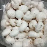 قارچ درجه یک. ارسال رایگان