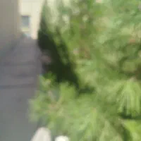 اجاره سوله باقرآباد