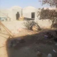 فروش و رهن دامداری داخل بافت روستا ۴۰۰ متر با اتاق