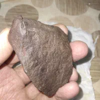 شهاب سنگ مریخ ال۵|جواهرات|گلبهار, شهر جدید گلبهار|دیوار