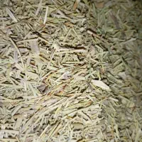 خار نرم|عمده‌فروشی|رضویه, |دیوار