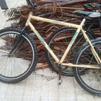 دوچرخه دماوند