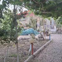 فروش ویلا باغ ۶۵۰متری قلعه سفید.|فروش خانه و ویلا|خمینیشهر, |دیوار