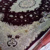 دوعد گلیم فرش ۶ و۹ متری با فرش