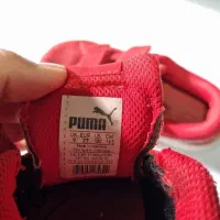 کفش اورجینال پوما|کیف، کفش، کمربند|تهران, شهرک طالقانی|دیوار