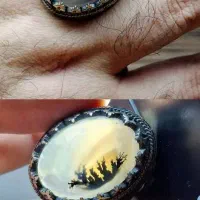 شجر قاینات زیبا