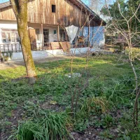 سرایدار منزل ویلایی روستایی