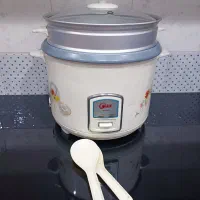 پلو پز و بخار پز|ظروف پخت‌وپز|دهلران, |دیوار