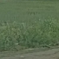 فروش ۶۳۶۳ متری