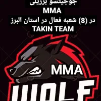 آموزش تخصصی ام ام ایMMA جوجیتسو برزیلی کیک بوکسینگ