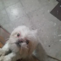 سلام دوستان عزیز