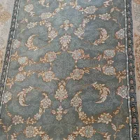 کناری نوی نو