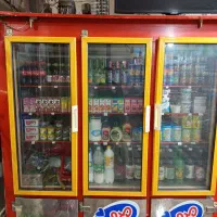 یخچال ایستاده دو طرف نما