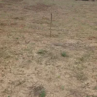 بفروش می رود