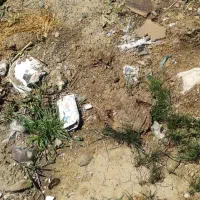 فروش زمین تجاری بر طالاقانی