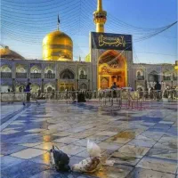 مشهد ۲۳۰۰ برای ثبت نام تماس بگیرید