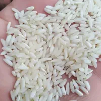 برنج عنبربو درجه یک