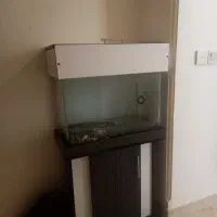 آکواریوم ۶۰ * ۵۰