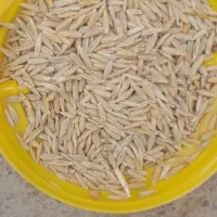 فروش دوتن جو
