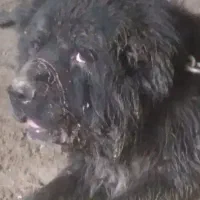 قهدریجانی نره همچی تمام 10 ماهه