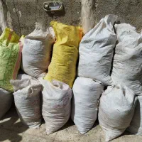 کود کبوتر