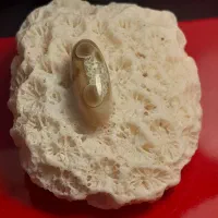 نگین بابا قوری
