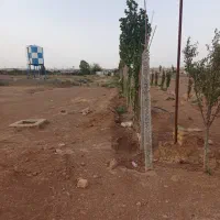 زمین باغی دارای مجوز جهاد|فروش زمین و ملک کلنگی|رباطکریم, الارد|دیوار