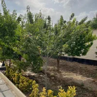 ایرانمهر + باغچه ۴۰۰ متری + بنای قدیمی+کنتور برق