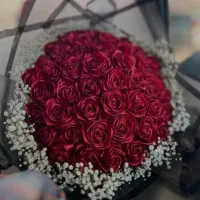 گل برای گل|گل مصنوعی|شاهین‌شهر, عطار|دیوار