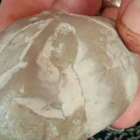 در نجف|کلکسیون اشیاء عتیقه|دهگلان, |دیوار