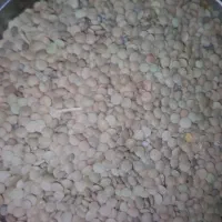 عدس زیبا وخوشمزه