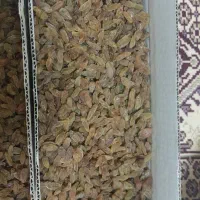 کشمش و شیره انگور ارگانیک