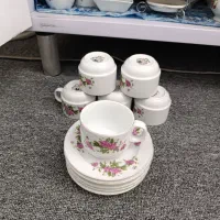 ظروف  گل سرخی