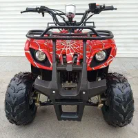 چهار چرخ ۱۲۵cc چهارچرخ