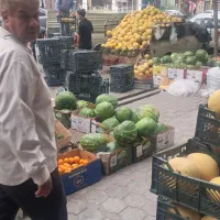 سبد میوه ضایعات