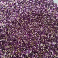 گل محمدی