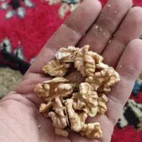 گردو|خوردنی و آشامیدنی|سی‌سخت, |دیوار