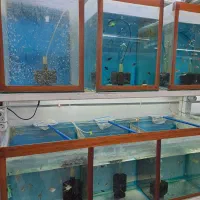 آکواریوم  به همراه پایه