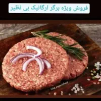 فروش جزئی و عمده انواع همبرگر|خوردنی و آشامیدنی|تهران, آهنگ|دیوار