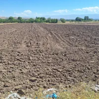 فروش زمین کشاورزی به مساحت 2200متری در روستا دولی|فروش زمین و ملک کلنگی|سراب, |دیوار