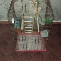 قفس پرنده